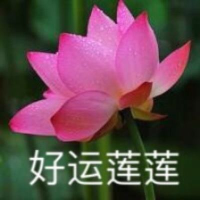 EDC雏菊电音嘉年华中秋登陆苏州